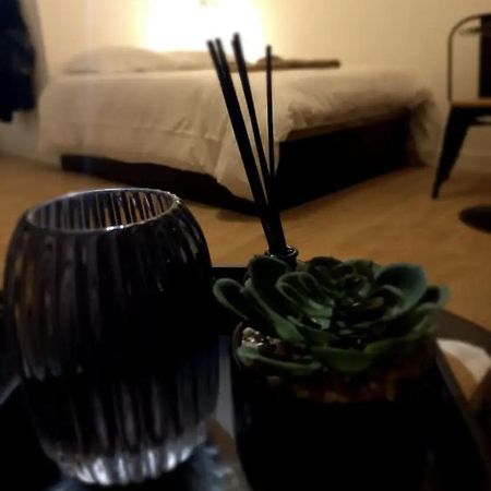 Le 29 Cuty, Wifi, A 3Min De La Gare Sncf Apartment Agen Bagian luar foto
