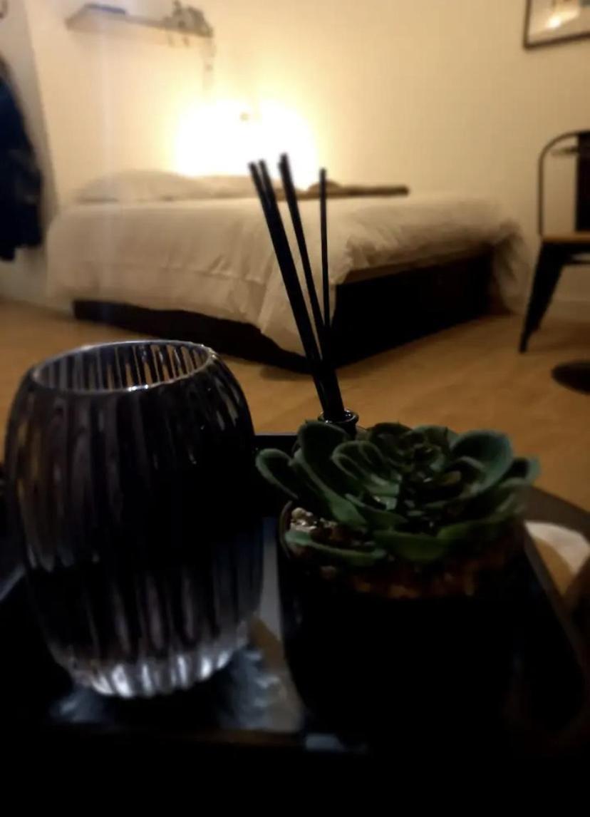 Le 29 Cuty, Wifi, A 3Min De La Gare Sncf Apartment Agen Bagian luar foto